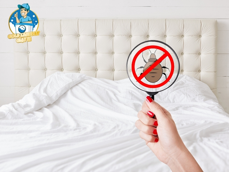 Lý do bạn cần phải vệ sinh nệm tại nhà thường xuyên