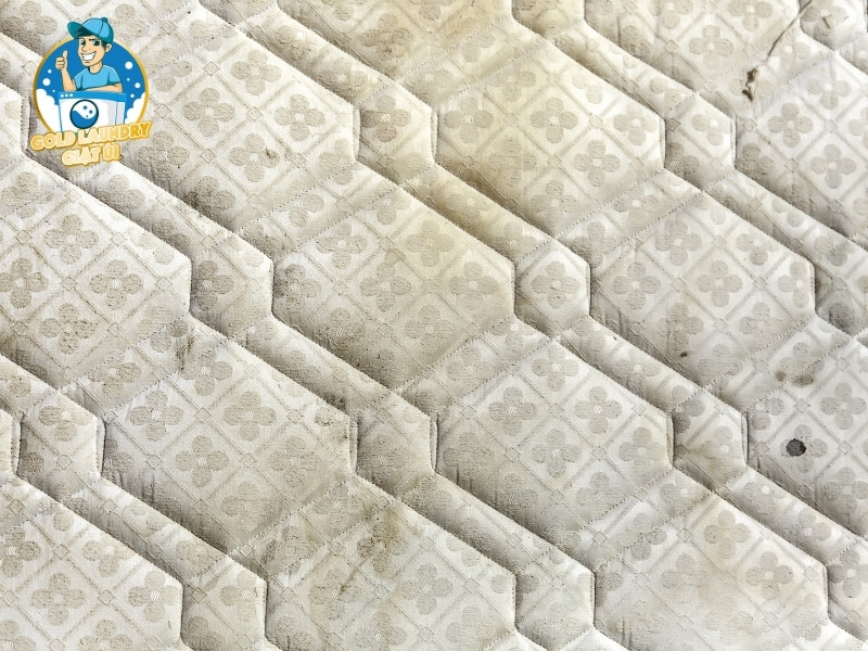 Nệm tích tụ những gì sau thời gian dài sử dụng