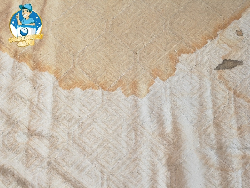 Những sai lầm phổ biến cần tránh khi tự vệ sinh nệm