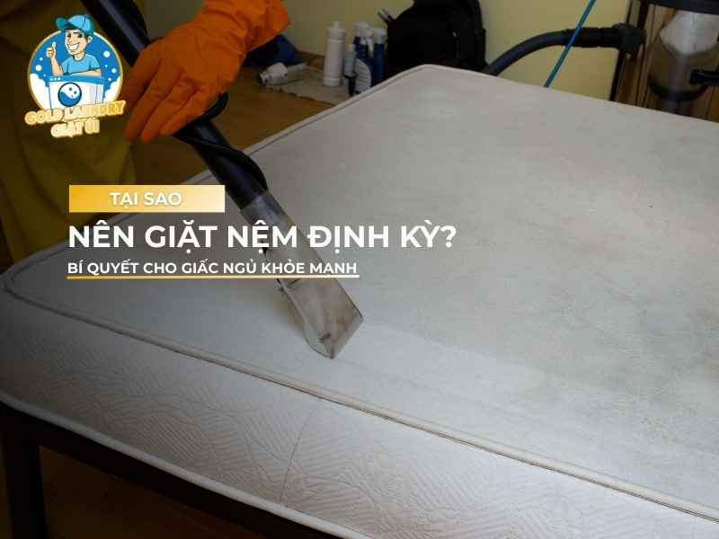 tại sao nên giặt nệm định kỳ