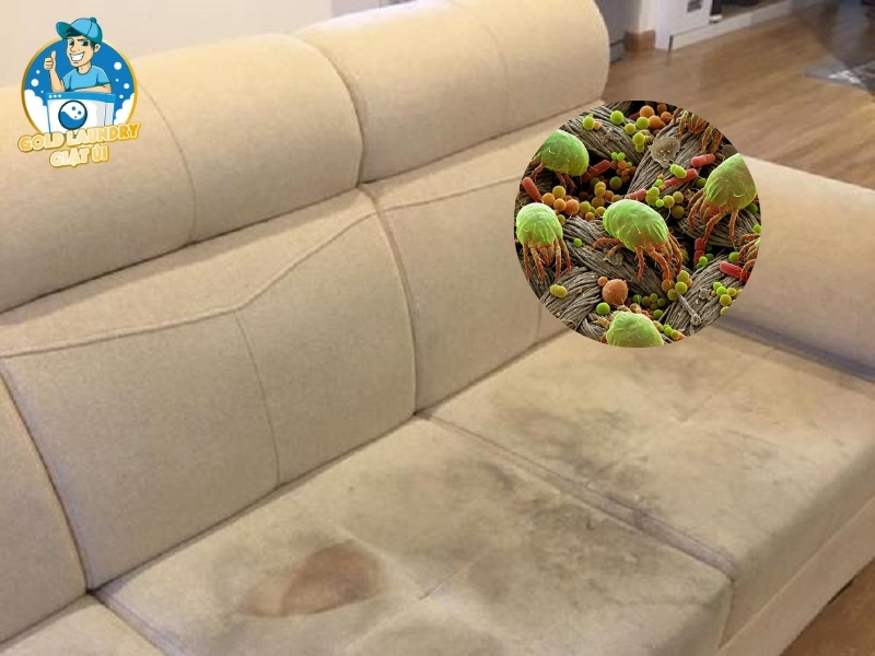 Tại sao việc giặt ghế sofa định kỳ lại quan trọng với sức khỏe?